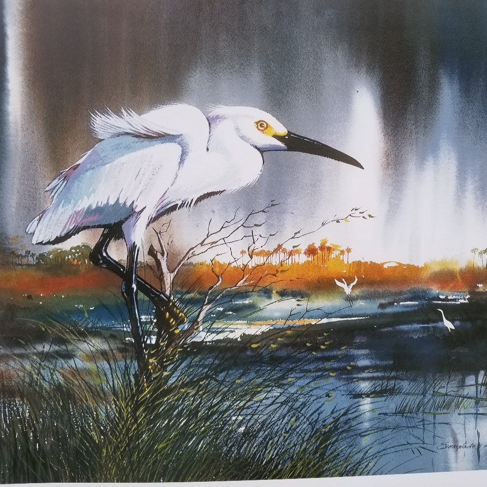 Watercolor print(28"x20"): Egret
